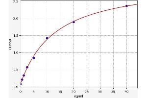 Typical standard curve (Adipsin Kit ELISA)