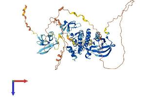 AlphaFold protein structure predicition of Mouse Recombinant Araf Protein, UniprotID P04627
