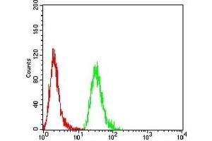 Flow cytometric analysis of Hela cells using MB mouse mAb (green) and negative control (red). (Myoglobin anticorps  (AA 2-154))