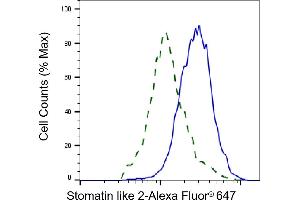 Validation of Stomatin like 2 knockdown using flow cytometry. (Recombinant STOML2 anticorps)