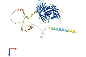 AlphaFold protein structure predicition of Human Recombinant SYT15 Protein, UniprotID Q9BQS2