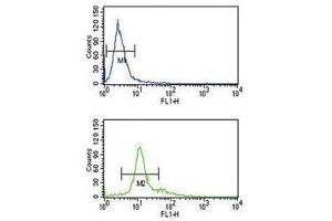 PCSK2 antibody flow cytometry analysis of K562 cells (bottom histogram) compared to a negative control (top histogram).