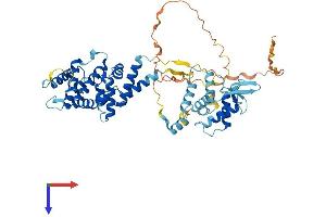 AlphaFold protein structure predicition of Human Recombinant DEPDC1B Protein, UniprotID Q8WUY9