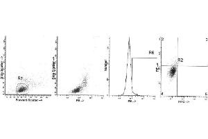 Image no. 1 for anti-Interleukin 4 (IL4) antibody (ABIN1107847) (IL-4 anticorps)