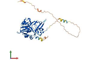 AlphaFold protein structure predicition of Human Recombinant HMCES Protein, UniprotID Q96FZ2