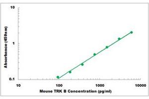 Representative Standard Curve (TRKB Kit ELISA)