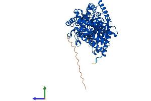 AlphaFold protein structure predicition of Mouse Recombinant Crat Protein, UniprotID P47934