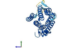 AlphaFold protein structure predicition of Human Recombinant SRD5A2 Protein, UniprotID P31213
