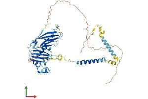AlphaFold protein structure predicition of Mouse Recombinant Sgce Protein, UniprotID O70258
