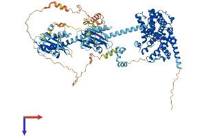 AlphaFold protein structure predicition of Mouse Recombinant Pde11a Protein, UniprotID P0C1Q2