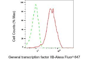 Flow cytometric analysis of General transcription factor IIB expression in HeLa cells using General transcription factor IIB antibody (ABIN7798706), 1:2,000). (Recombinant GTF2B anticorps)