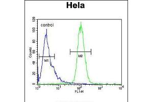 Flow cytometric analysis of Hela cells (right histogram) compared to a negative control cell (left histogram). (INTS10 anticorps  (C-Term))