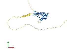 AlphaFold protein structure predicition of Human Recombinant NPM2 Protein, UniprotID Q86SE8