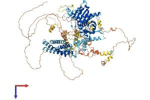 AlphaFold protein structure predicition of Mouse Recombinant Dagla Protein, UniprotID Q6WQJ1