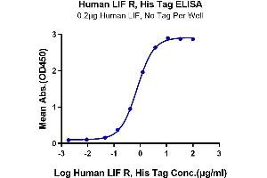 Immobilized Human LIF at 2 μg/mL (100 μL/Well) on the plate.