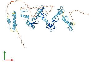 AlphaFold protein structure predicition of Human Recombinant ZNF19 Protein, UniprotID P17023