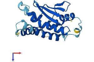 AlphaFold protein structure predicition of Human Recombinant TRAPPC6A Protein, UniprotID O75865