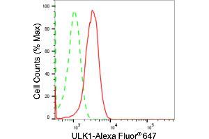 Flow cytometric analysis of ULK1 expression in HepG2 cells using ULK1 antibody (ABIN7800768), 1:2,000). (Recombinant ULK1 anticorps)