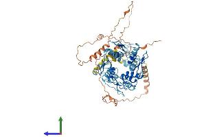 AlphaFold protein structure predicition of Human Recombinant ZNF530 Protein, UniprotID Q6P9A1