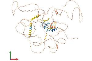 AlphaFold protein structure predicition of Human Recombinant SCEL Protein, UniprotID O95171