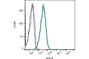 Cell surface detection of Nav1.
