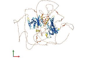AlphaFold protein structure predicition of Mouse Recombinant Psd Protein, UniprotID Q5DTT2