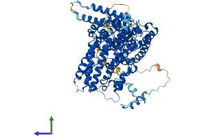 AlphaFold protein structure predicition of Human Recombinant NAA35 Protein, UniprotID Q5VZE5