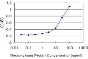 Detection limit for recombinant GST tagged MEOX1 is approximately 0. (MEOX1 anticorps  (AA 165-252))