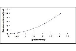 Typical standard curve (MUC20 Kit ELISA)