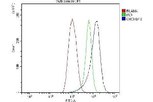 anti-Coiled-Coil-Helix-Coiled-Coil-Helix Domain Containing 10 (CHCHD10) (AA 80-142) antibody