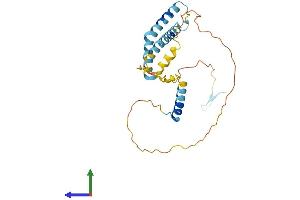 AlphaFold protein structure predicition of Human Recombinant OCIAD1 Protein, UniprotID Q9NX40
