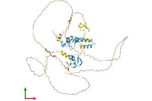 AlphaFold protein structure predicition of Human Recombinant PLAGL2 Protein, UniprotID Q9UPG8