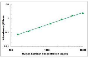 Representative Standard Curve (LUM Kit ELISA)