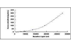 ELISA image for Interleukin 28A (Interferon, lambda 2) (IL28A) CLIA Kit (ABIN1081690)