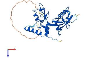 AlphaFold protein structure predicition of Mouse Recombinant PcgF3 Protein, UniprotID Q8BTQ0