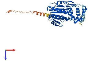 AlphaFold protein structure predicition of Human Recombinant NSDHL Protein, UniprotID Q15738