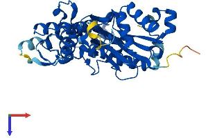 AlphaFold protein structure predicition of Human Recombinant ACTR1A Protein, UniprotID P61163