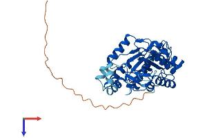AlphaFold protein structure predicition of Mouse Recombinant Plcxd1 Protein, UniprotID Q8CHS4