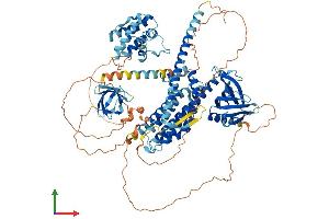AlphaFold protein structure predicition of Mouse Recombinant Arhgef7 Protein, UniprotID Q9ES28