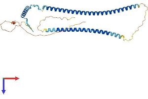AlphaFold protein structure predicition of Human Recombinant EPSTI1 Protein, UniprotID Q96J88