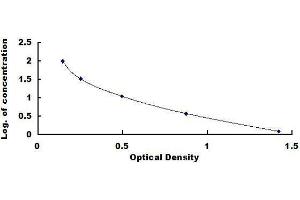 ELISA image for Estrone Sulfate ELISA Kit (ABIN1569495)