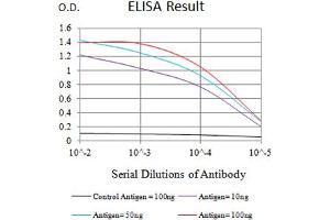 Black line: Control Antigen (100 ng),Purple line: Antigen (10 ng), Blue line: Antigen (50 ng), Red line:Antigen (100 ng) (CCL4 anticorps  (AA 24-92))