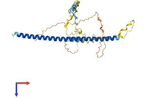 AlphaFold protein structure predicition of Human Recombinant ATF5 Protein, UniprotID Q9Y2D1