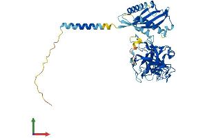 AlphaFold protein structure predicition of Mouse Recombinant Tmprss11f Protein, UniprotID Q8BHM9