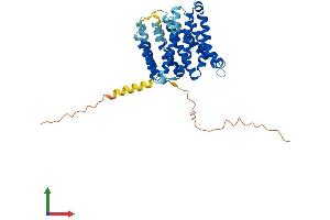 AlphaFold protein structure predicition of Mouse Recombinant Slc35f2 Protein, UniprotID Q7TML3