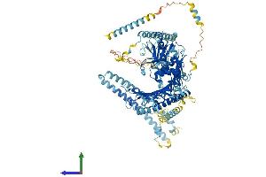 AlphaFold protein structure predicition of Human Recombinant DRC7 Protein, UniprotID Q8IY82