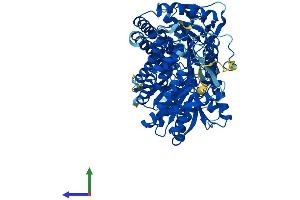 AlphaFold protein structure predicition of Mouse Recombinant Aldh16a1 Protein, UniprotID Q571I9