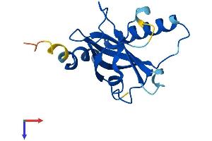 AlphaFold protein structure predicition of Mouse Recombinant Rfk Protein, UniprotID Q8CFV9