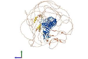AlphaFold protein structure predicition of Mouse Recombinant Lrrc7 Protein, UniprotID Q80TE7