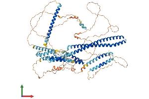 AlphaFold protein structure predicition of Human Recombinant DISC1 Protein, UniprotID Q9NRI5